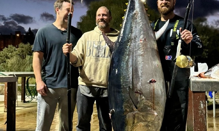 Video: 3 cần thủ Australia câu được cá ngừ  "khủng " nặng 165kg