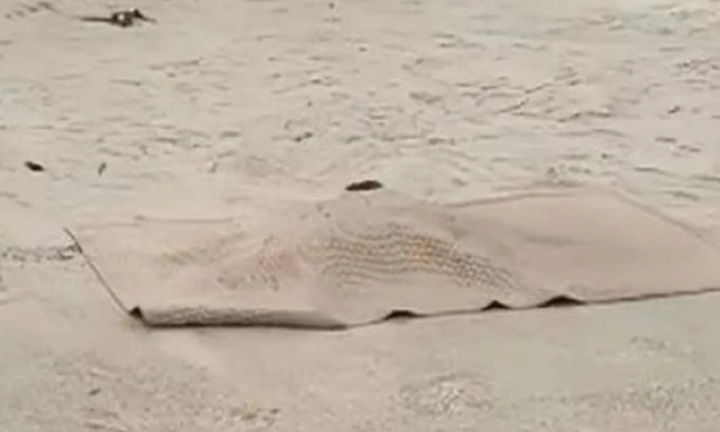 Vụ cháu bé 6 tuổi mất tích khi đi gửi trẻ: Xét nghiệm ADN thi thể mới tìm thấy