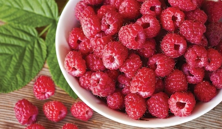 Loại quả được mệnh danh là 