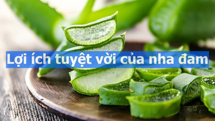 Dùng hàng ngày, chưa chắc bạn đã biết lợi ích tuyệt vời của nha đam