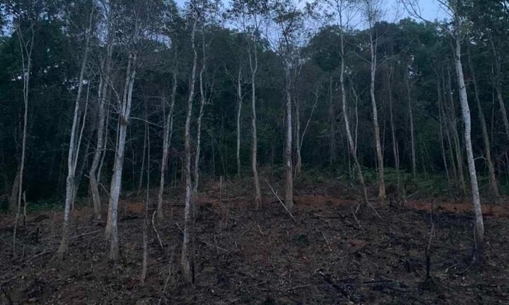 Một người đàn ông bị xử phạt 90 triệu đồng vì gây ra cháy rừng