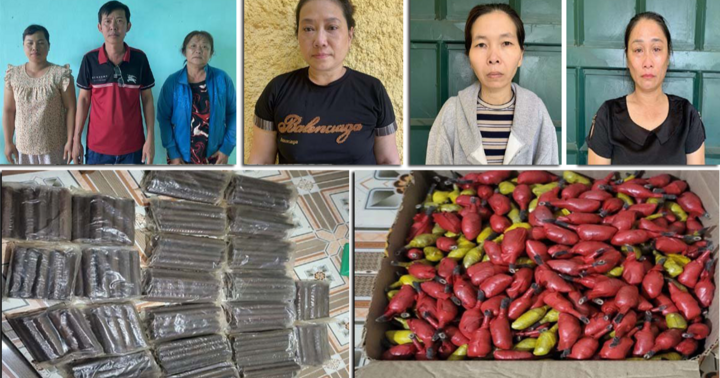 Triệt phá đường dây mua bán trái phép vật liệu nổ từ Tây Nguyên về Thanh Hóa