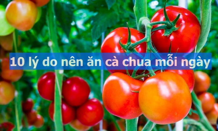 10 lý do nên ăn cà chua mỗi ngày