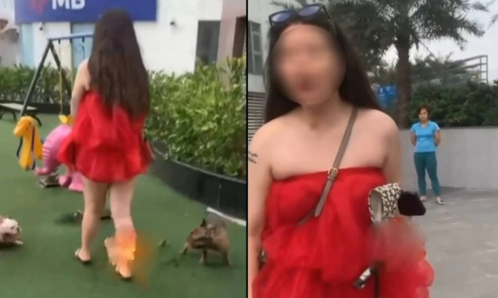 Cô gái để chó phóng uế tại khu vui chơi trẻ em với lý do 