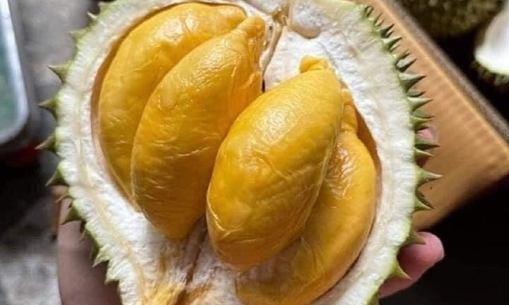 Sầu riêng “tí hon” Thái Lan đổ bộ chợ Việt, giá rẻ thu hút khách mua