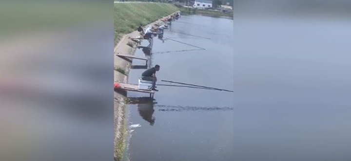 Video: Người đàn ông bất ngờ bị con cá nặng 20kg kéo xuống nước