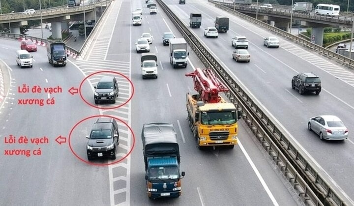 Mức phạt khi vi phạm vạch xương cá?