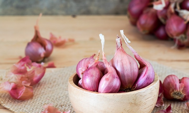 Loại củ nhỏ nhưng là 