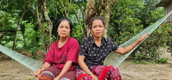 Xác minh thông tin hổ lớn xuất hiện trong rừng Đìu Đo, Quảng Bình