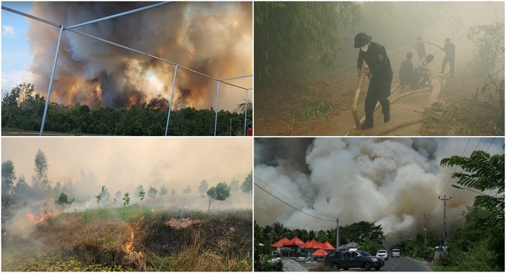 Cháy ở vườn Quốc gia Tràm Chim: Cột khói bốc cao, hàng trăm người dập lửa