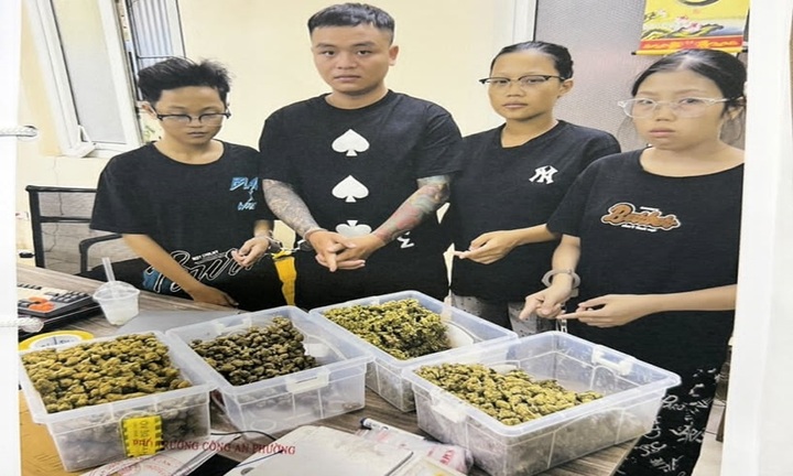 Triệt phá ổ nhóm mua bán ma túy, thu giữ hơn 10 kg cần sa ở Hà Nội