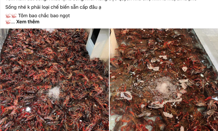 Bị cấm nhập khẩu nhưng