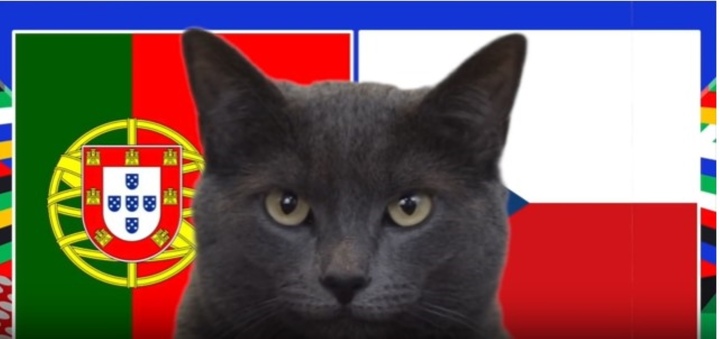 Nhận định trận Bồ Đào Nha vs CH Séc: Mèo tiên tri không chọn Ronaldo