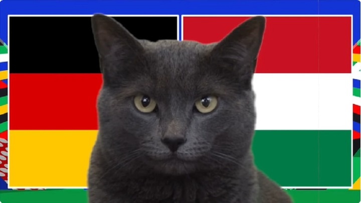 Nhận định trận Đức vs Hungary EURO 2024 23h ngày 19/6: Mèo Cass ủng hộ kẻ mạnh