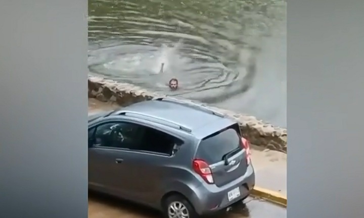 Video: Người đàn ông say rượu bị cá sấu rượt đuổi trong hồ và cái kết