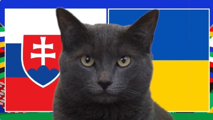 Nhận định trận Slovakia vs Ukraine, EURO 2024 20h ngày 21/6: Mèo Cass tin “kẻ yếu”