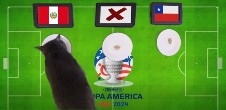 Nhận định trận Chile vs Peru, Copa America 2024 7h ngày 22/6: Mèo Cass chọn bất ngờ