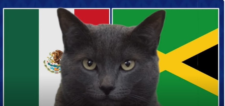 Nhận định, soi kèo trận Mexico vs Jamaica, Copa America 2024 8h ngày 23/6: Mèo tiên tri chọn kẻ mạnh