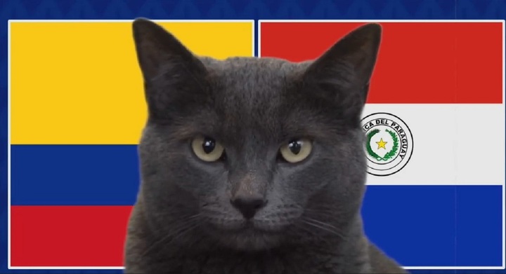 Nhận định trận Colombia vs Paraguay, Copa America 2024 5h ngày 25/6: Mèo Cass theo số đông