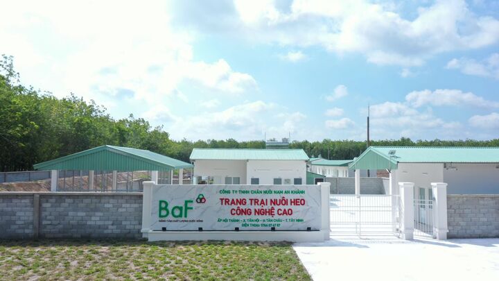 Mắc hàng loạt sai phạm, Nông nghiệp BAF Việt Nam (BAF) bị UBCKNN xử phạt