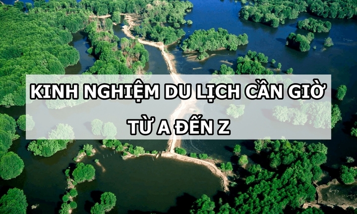 “Bỏ túi” kinh nghiệm đi du lịch Cần Giờ từ A tới Z
