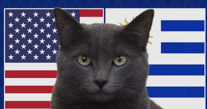 Nhận định trận Mỹ vs Uruguay, Copa America: Mèo Cass “tiên tri” bất ngờ