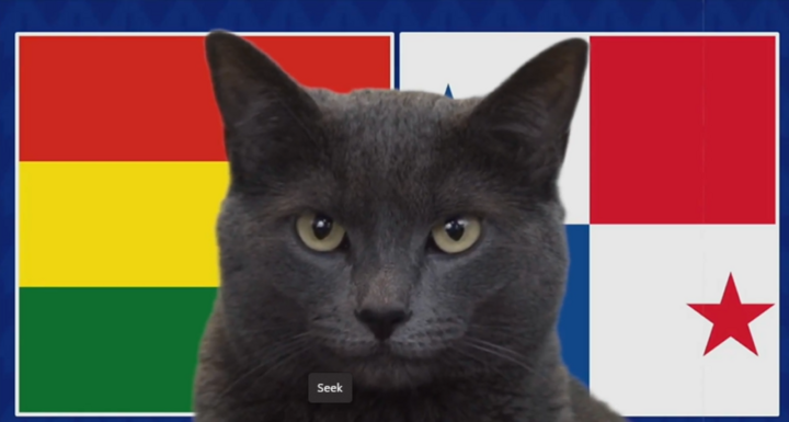 Nhận định trận Panama vs Bolivia, Copa America 2024 8h ngày 2/7: Mèo Cass chọn kẻ yếu