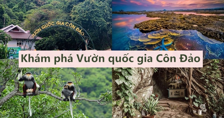 Khám phá Vườn quốc gia Côn Đảo