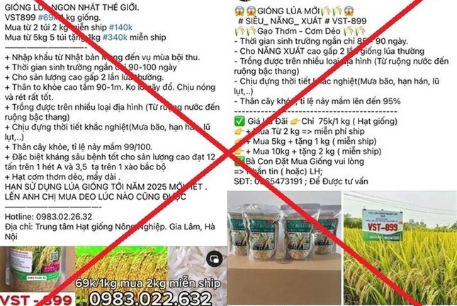 Tin tức pháp luật mới nhất ngày 5/7: 7 đối tượng lừa bán giống lúa không có thật