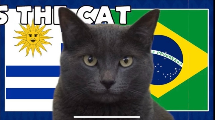 Nhận định trận Brazil vs Uruguay, Copa America 2024 8h ngày 7/7: Mèo Cass chọn Uruguay