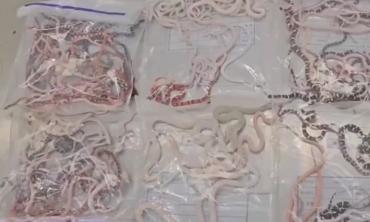 Kiểm tra người đàn ông khả nghi, phát hiện bí mật “động trời” bên trong túi quần