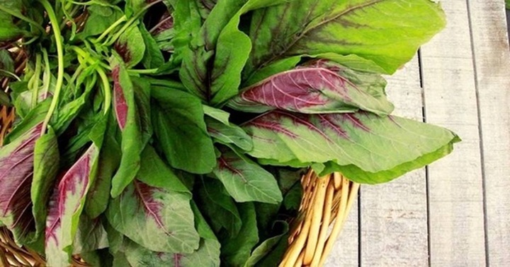 Rau dền bổ dưỡng nhưng ai không nên ăn?