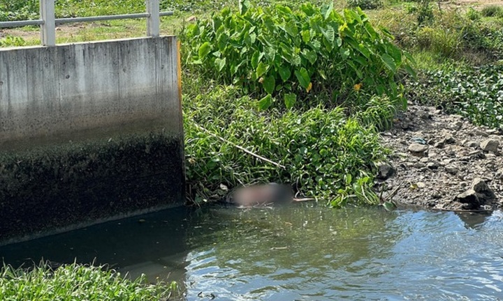 Đi câu cá, người dân phát hiện thi thể nam giới dưới suối ở Bình Dương