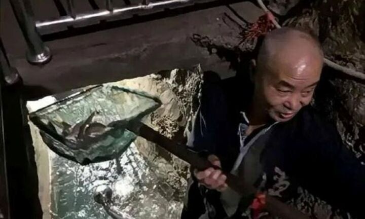 Ông lão tìm thấy 