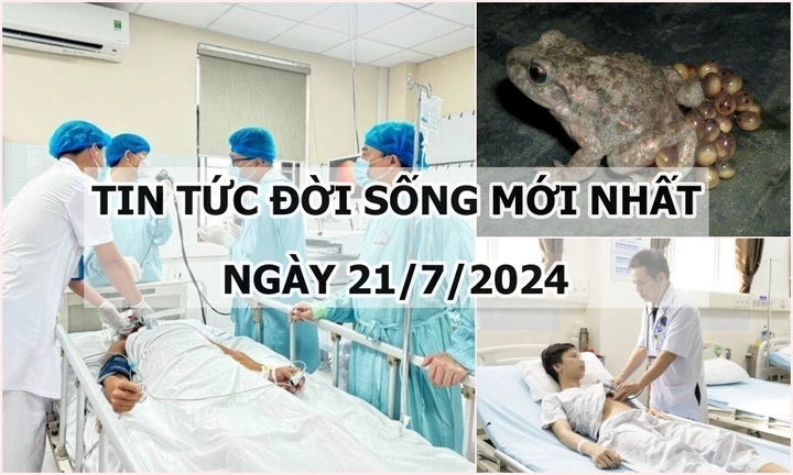 Tin tức đời sống ngày 21/7/2024: Người cứng như khúc gỗ sau khi bị cọc tre đâm