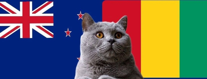 Nhận định soi kèo trận U23 Guinea-U23 New Zealand, Olympic 2024 22h ngày 24/7: Mèo tiên tri gây sốc