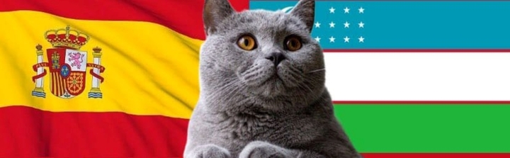 Nhận định soi kèo trận U23 Tây Ban Nha-U23 Uzbekistan, Olympic 2024 20h ngày 24/7: Mèo bênh vực ai?