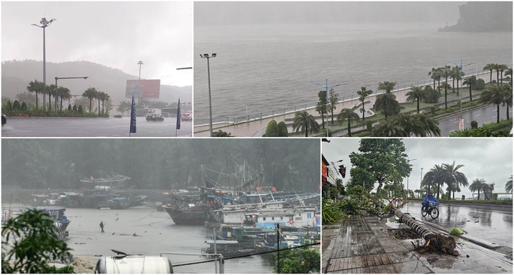 Tin tức mới nhất cơn bão số 2: Quảng Ninh mưa rất to, cây to bật gốc trên đường