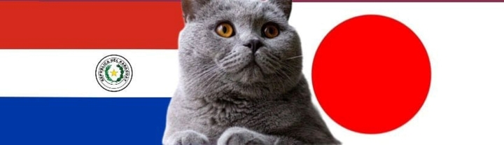 Nhận định soi kèo trận U23 Nhật Bản-U23 Paraguay, Olympic 2024 0h ngày 25/7: Mèo tiên tri thiên vị?