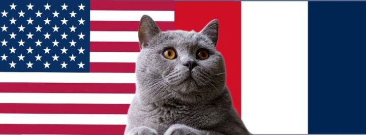 Nhận định soi kèo trận U23 Pháp-U23 Mỹ, Olympic 2024 2h ngày 25/7: Mèo tiên tri bênh vực chủ nhà