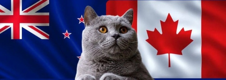 Nhận định soi kèo trận nữ Canada-New Zealand, Olympic 2024 22h ngày 25/7: Mèo tiên tri gây sốt