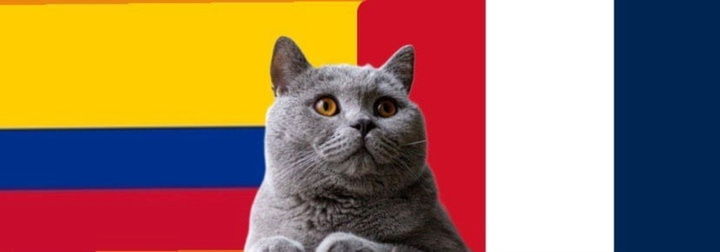 Nhận định soi kèo trận nữ Pháp-Colombia Olympic Paris, 2h ngày 26/7: Mèo tiên tri theo lẽ thường