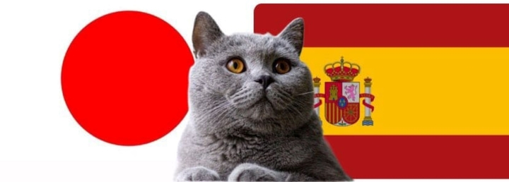 Nhận định soi kèo trận nữ Tây Ban Nha-Nhật Bản, Olympic 2024 22h ngày 25/7: Mèo tiên tri dính bẫy