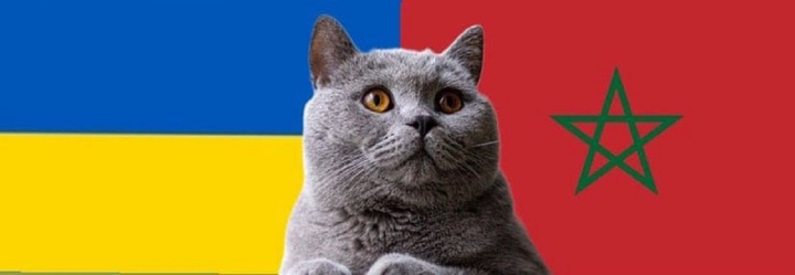 Nhận định soi kèo trận U23 Morocco-U23 Ukraine Olympic Paris 22h ngày 27/7: Mèo tin tri gặp khó