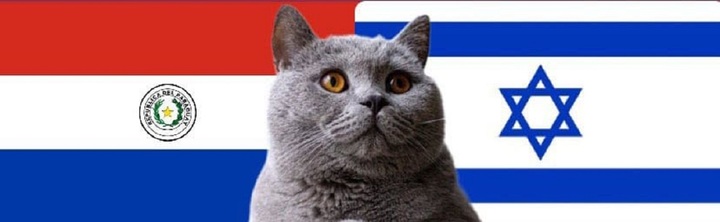 Nhận định soi kèo trận U23 Israel vs U23 Paraguay Olympic Paris 0h ngày 28/7: Mèo tiên tri lưỡng lự