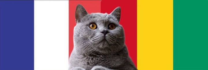 Nhận định soi kèo trận U23 Pháp-U23 Guinea Olympic Paris 2h ngày 28/7: Mèo tiên tri hóa chuyên gia