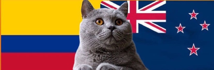 Nhận định soi kèo trận nữ Colombia-New Zealand Olympic Paris, 22h ngày 28/7: Mèo tiên tri chọn ai?