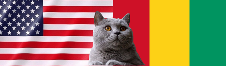 Nhận định soi kèo trận U23 Mỹ-U23 Guinea Olympic Paris 0h ngày 31/7: Mèo tiên tri ưu ái Mỹ