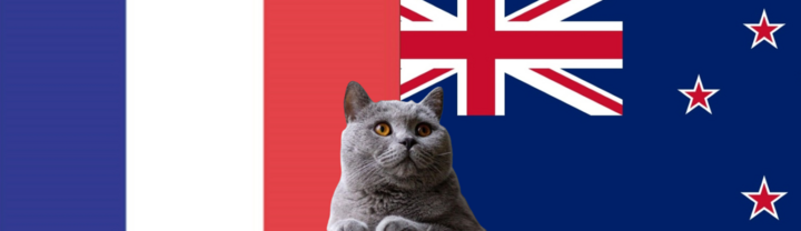 Nhận định soi kèo trận U23 New Zealand-U23 Pháp Olympic Paris 0h ngày 31/7: Mèo tiên tri chọn sai?