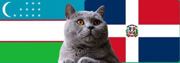 Nhận định soi kèo trận U23 Uzbekistan-U23 Dominica Olympic Paris 20h ngày 30/7: Mèo